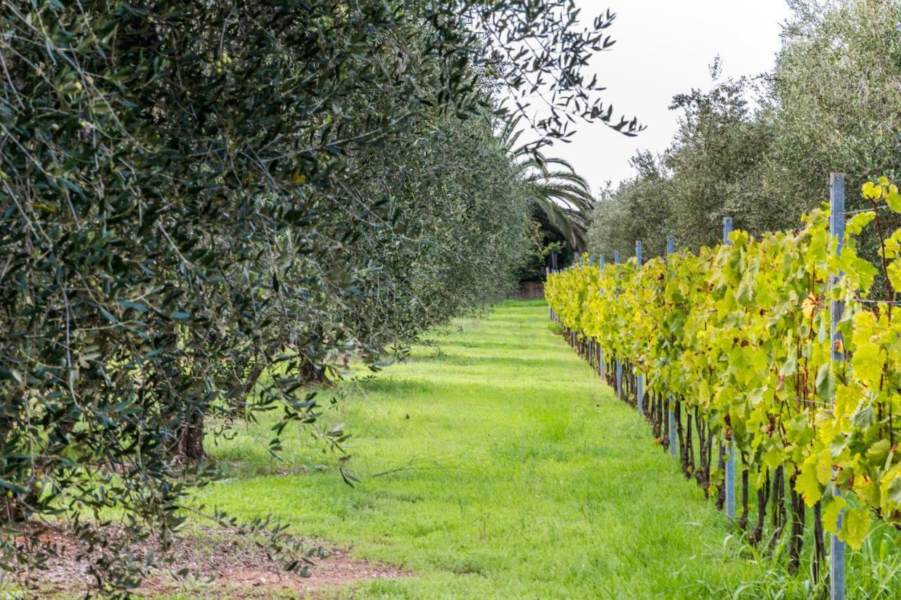 פולוניקה Agriturismo Villa Isa מראה חיצוני תמונה